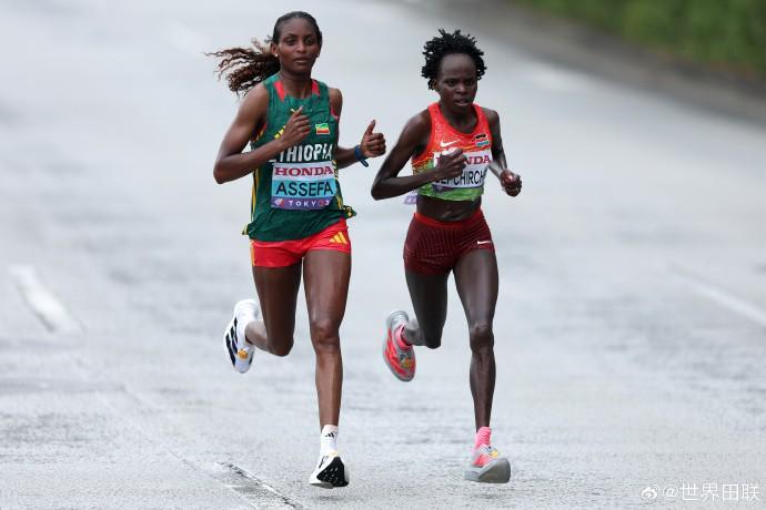 费迪南德斥,非洲杯无知,言论,开云,kaiyun·开云（中国）,KaiYun,kaiyun·开云（中国）官网