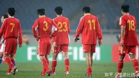 kaiyun·开云（中国）