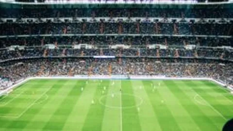 kaiyun·开云（中国）