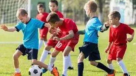 kaiyun·开云（中国）